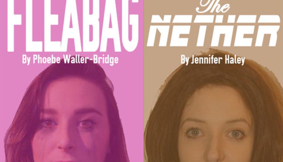 Fleabag & The Nether at Hanger Farm Arts Centre