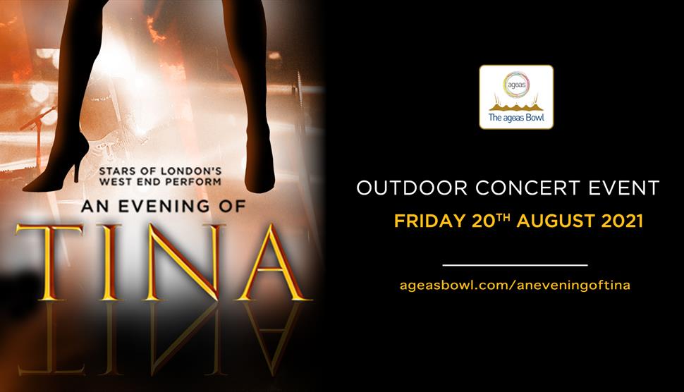 An Evening Of Tina Poster