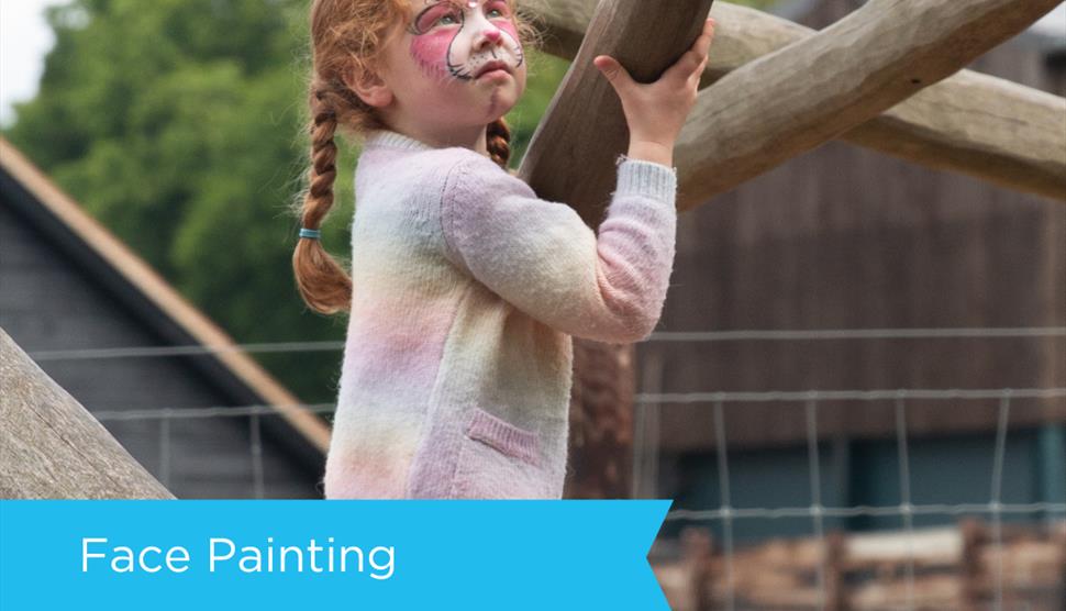 Face Painting at Sky Park Farm