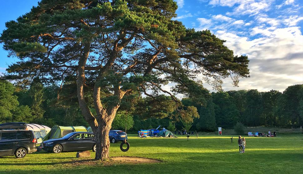 YMCA Fairthorne Manor Campsite