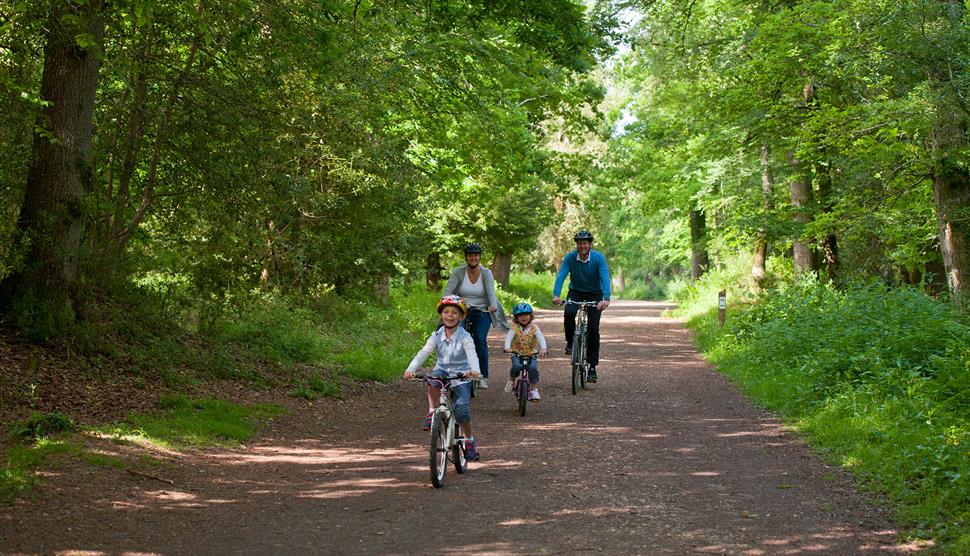 new forest cycle routes