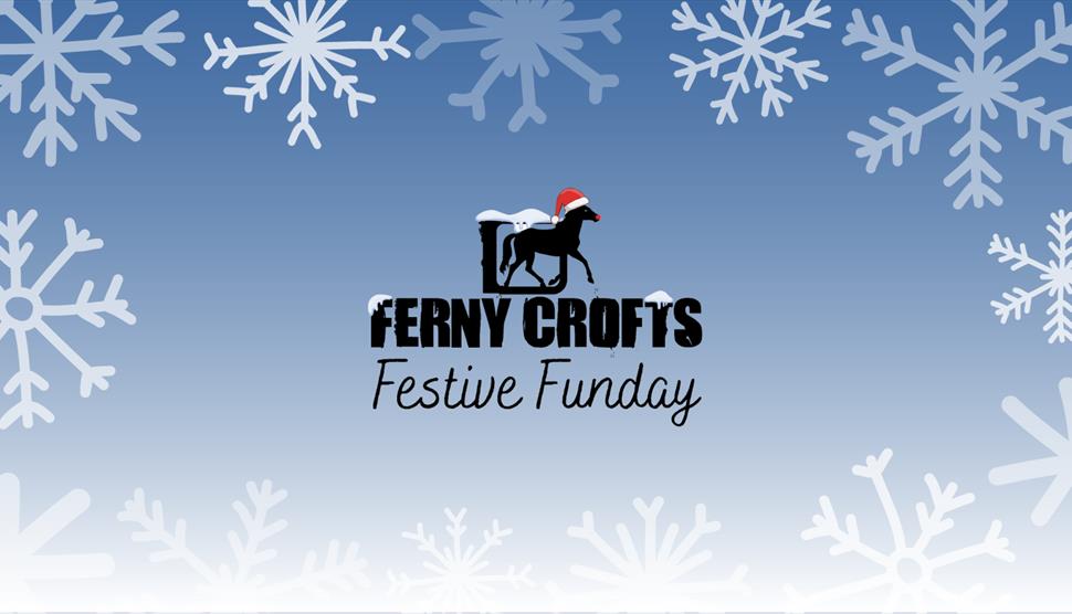 Festive Fun Day at Ferny Crofts Scout Activity Centre