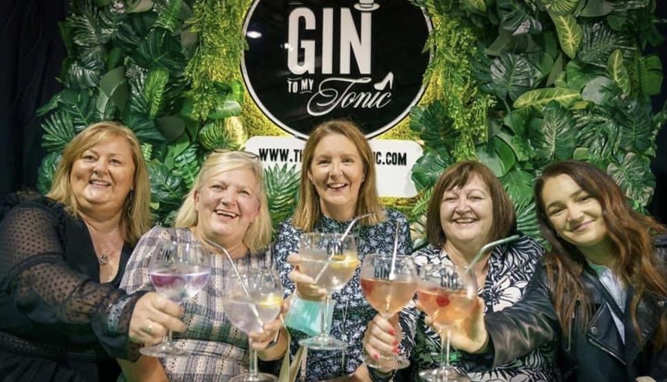 The Gin To My Tonic Festival Visit Hampshire