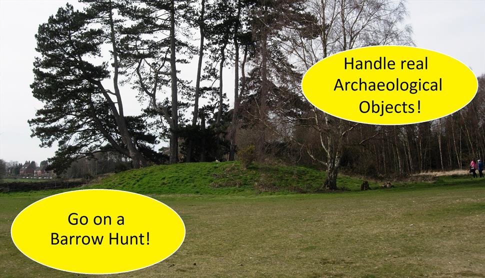 Festival of Archaeology on Petersfield Heath