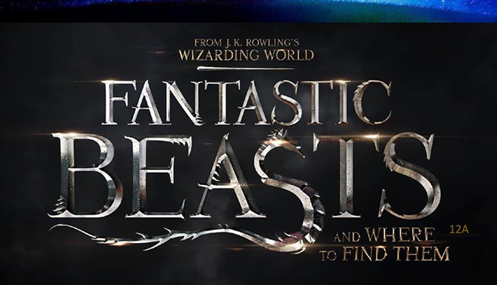 Fantastic Beasts Film Night