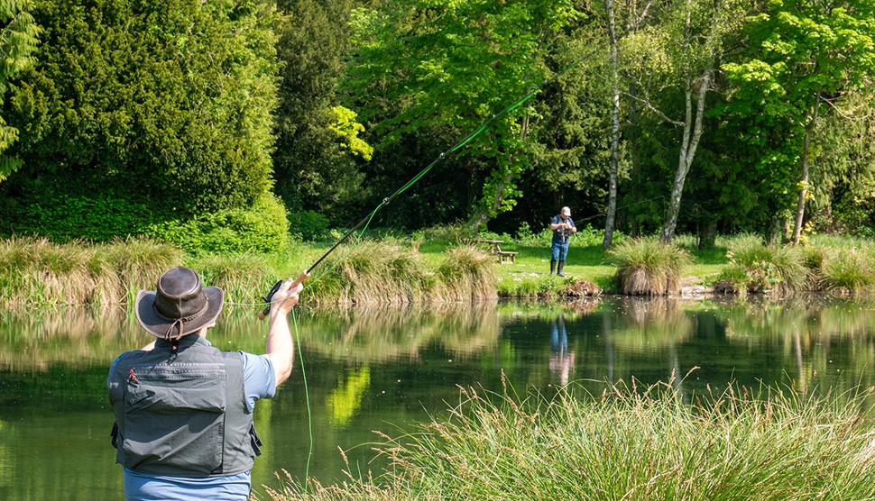 Avington Trout Fishery