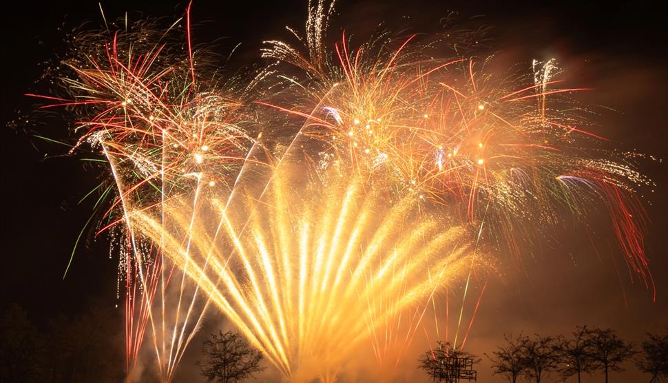 Fleet Lions Fireworks Fiesta at Calthorpe Park