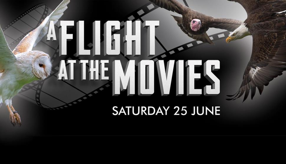 Flight at the Movies at the Hawk Conservancy Trust