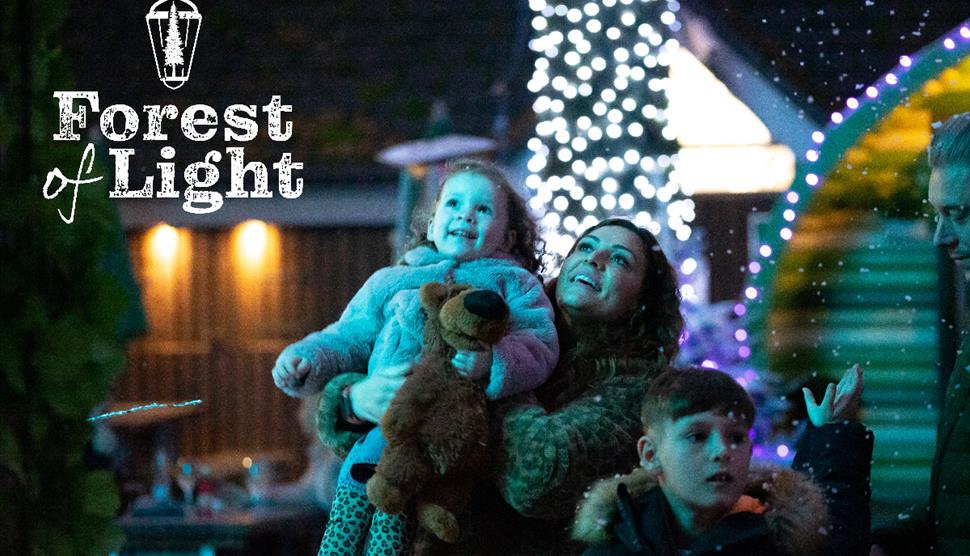 Forest of Light at Sandy Balls Holiday Village