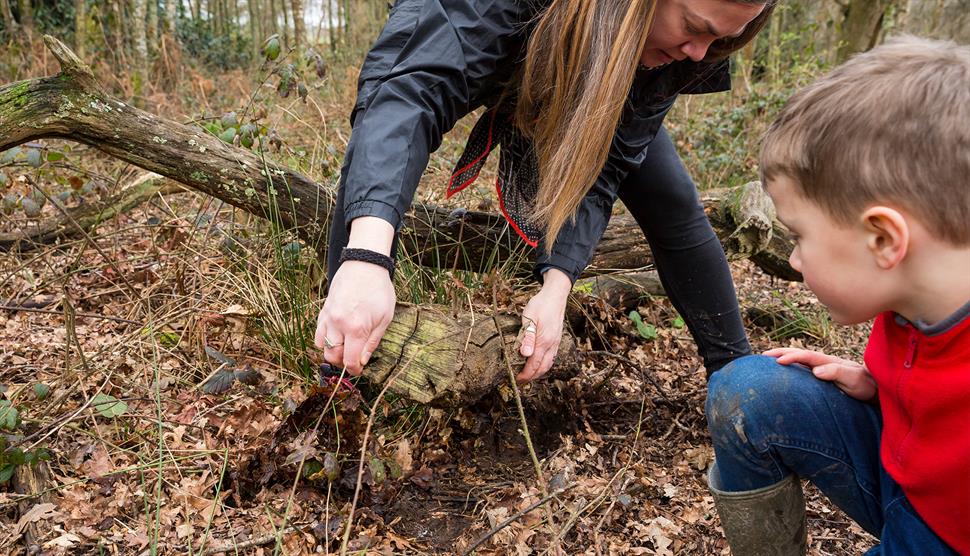 Cadbury Easter Egg Hunt at Foxbury, New Forest