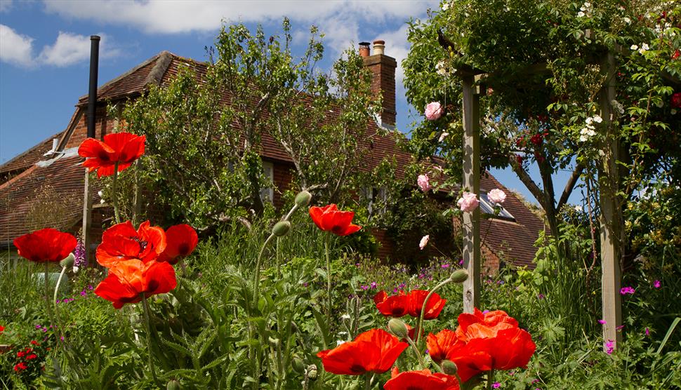 Froyle Open Gardens for National Garden Scheme