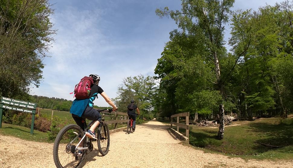Cycle-Yin with New Forest Cycling Tours