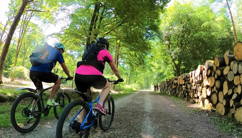 The Old Railway Line Cycling Tour in the New Forest
