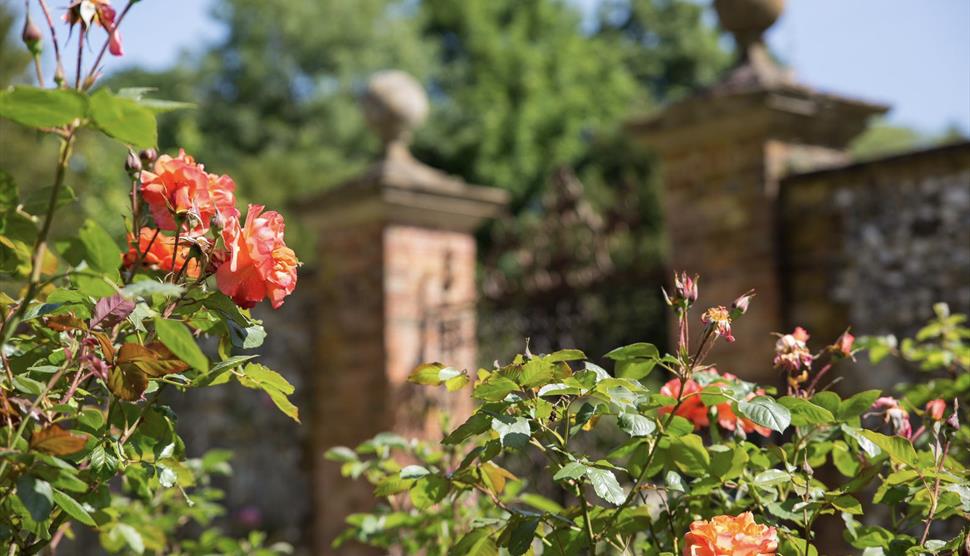 Chawton House Garden Festival