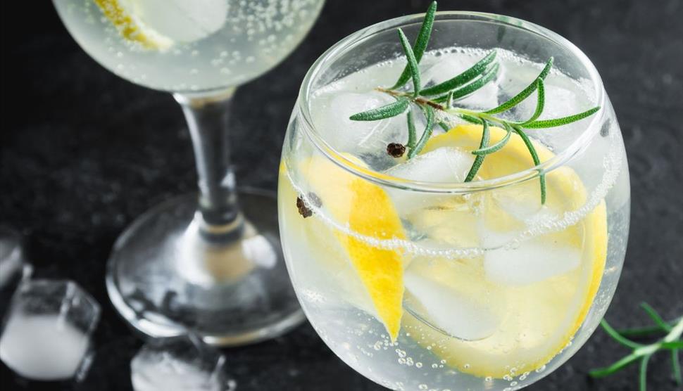 Gin in the Gallery at Petersfield Museum and Art Gallery