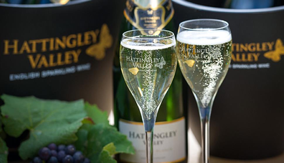 Winery Tour & Tasting at Hattingley Valley Vineyard