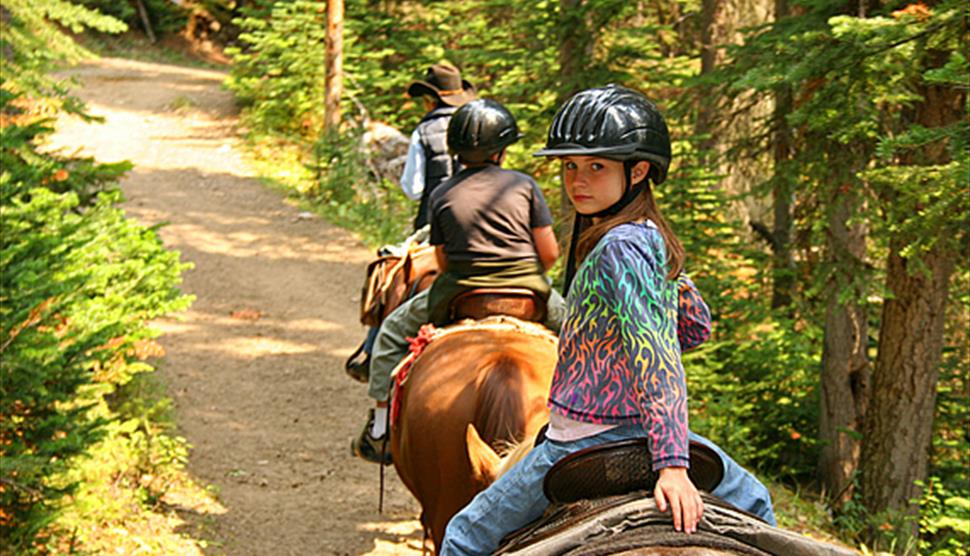 Gleneagles Equestrian Centre