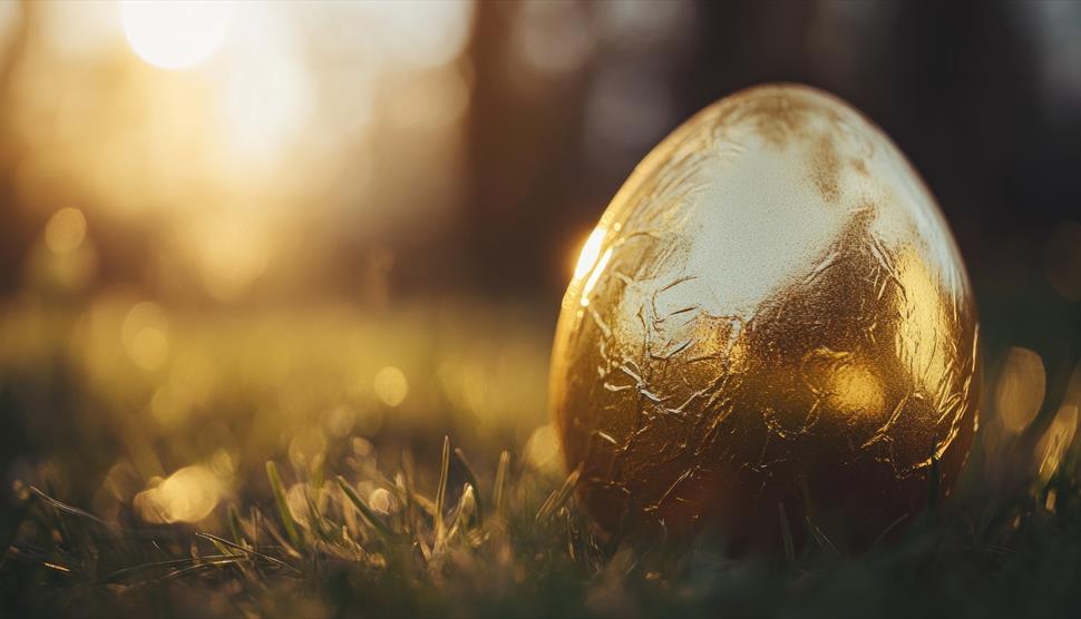 An egg coated on gold foil sat on the grass in the sun