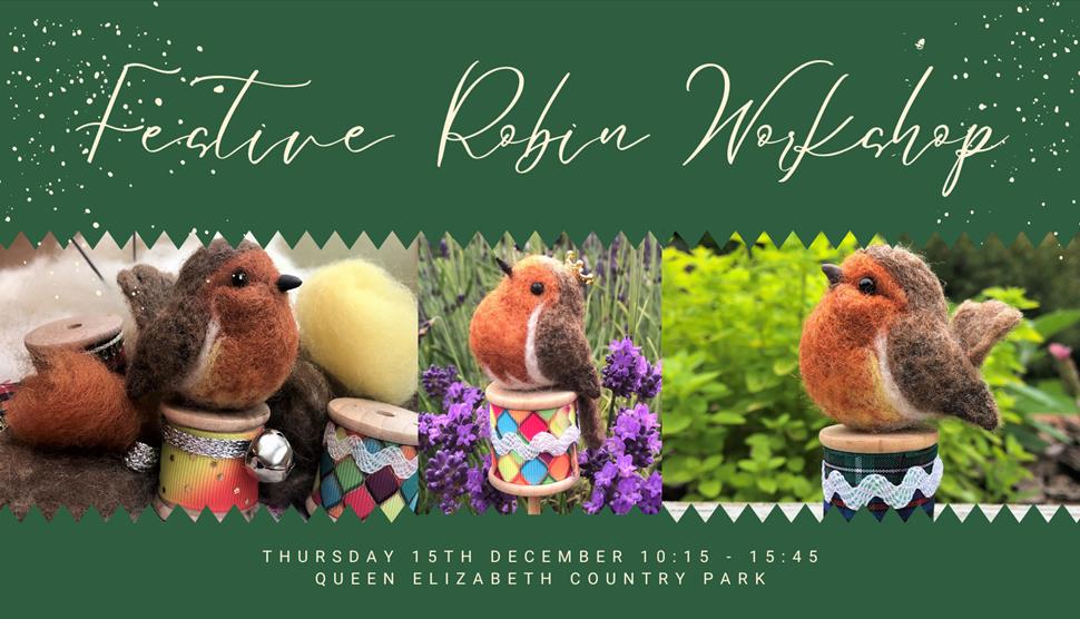 Festive Felted Robin Workshop