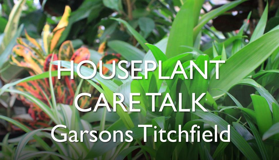 Houseplant Care Talk at Garsons Titchfield