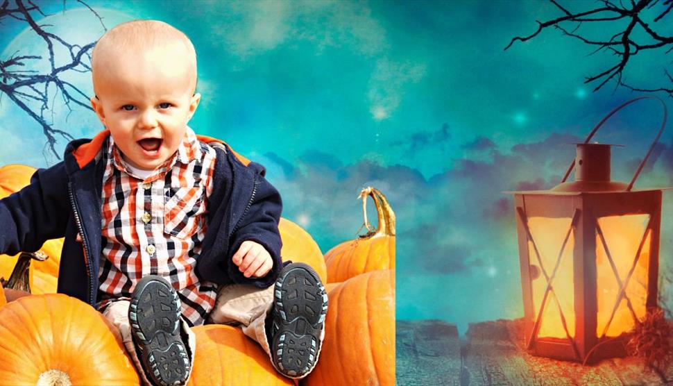 Toddler with pumpkins