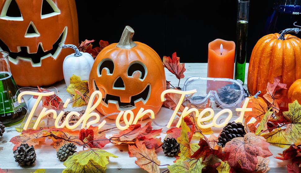 Halloween display with pumpkins, autumn leaves and neon lights
