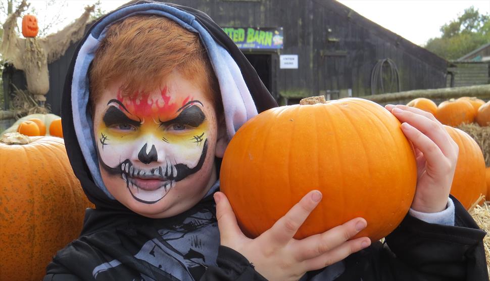 It's Frightfully Fun at the Farm at Longdown Activity Farm