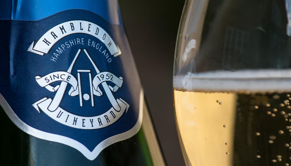 Become a Wine Maker at Hambledon Vineyard