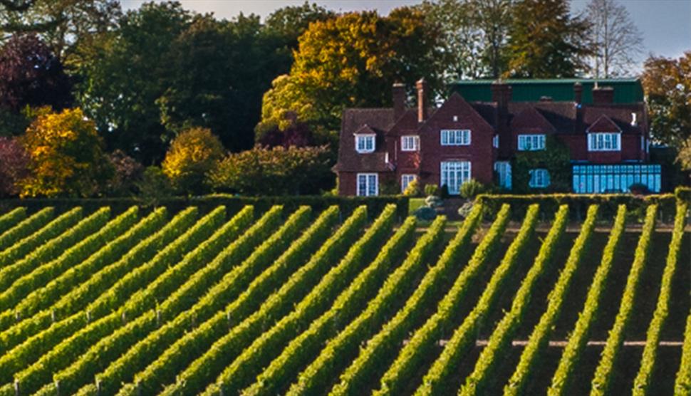 Wine Education Open Day at Hambledon Vineyard