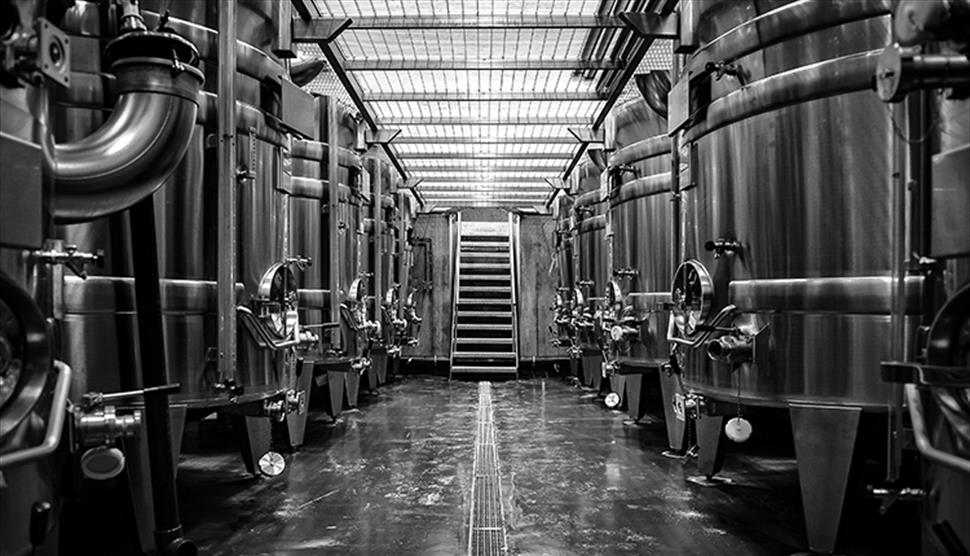 Hambledon Vineyard WSET Level 1