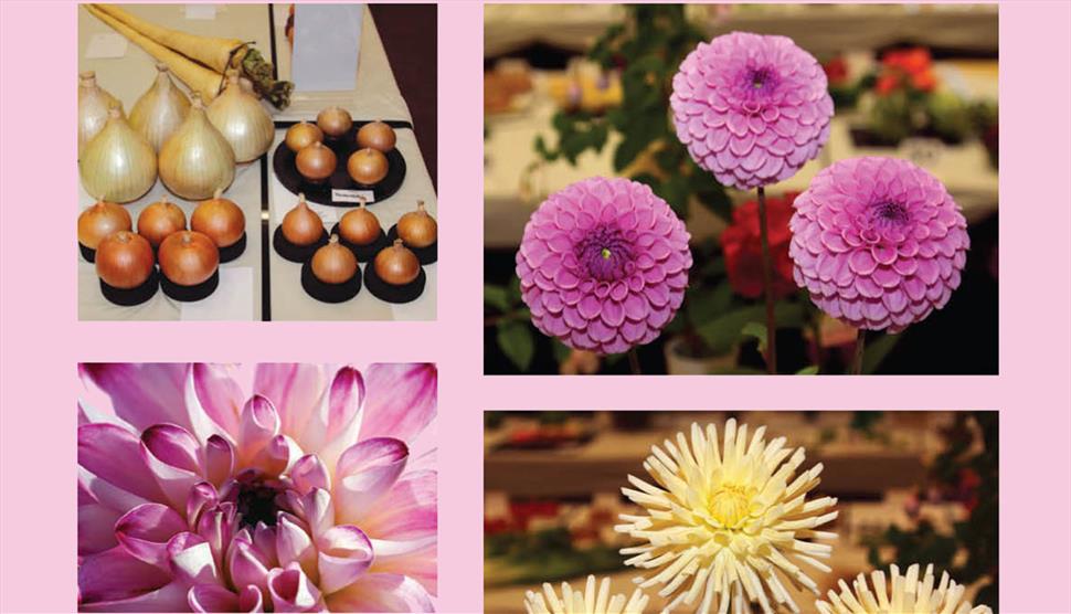 Hayling Island Horticultural Society Autumn Show