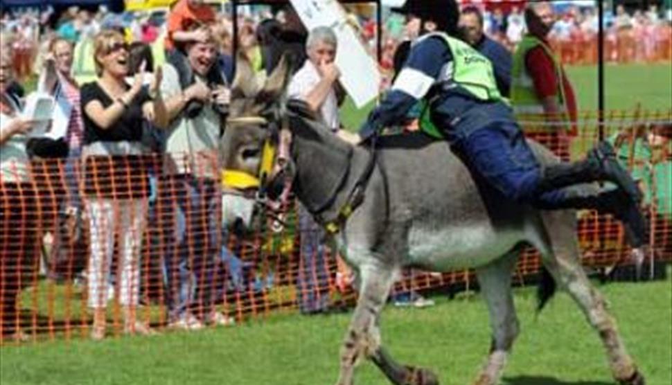 Hayling Lions Donkey Derby