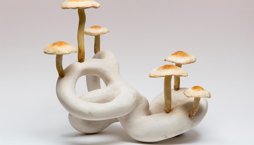 Somerset House X Heckfield: Art of the Mushroom