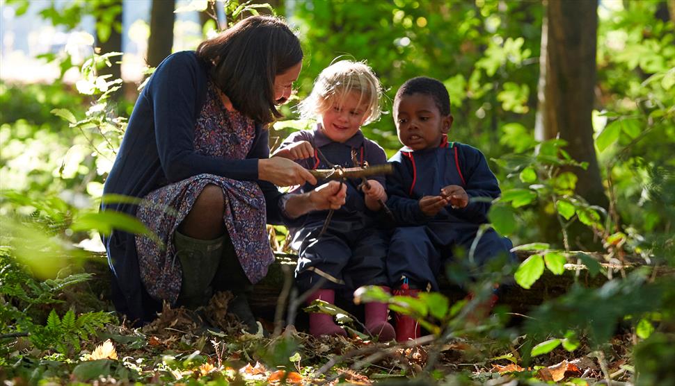 Forest School Morning at Highfield and Brookham Schools