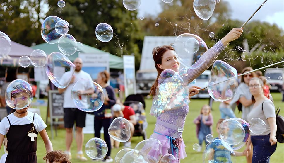 Circus performers workshop at Hinton Ampner