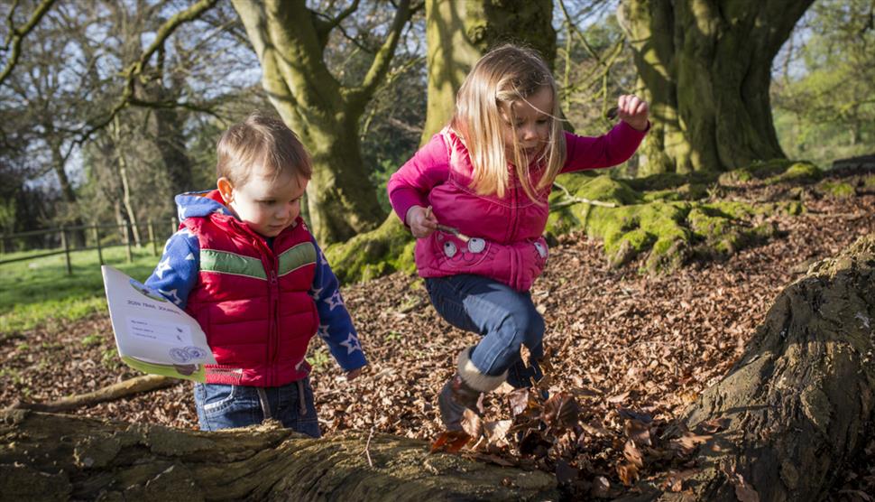 Hidden Nature trail at Hinton Ampner