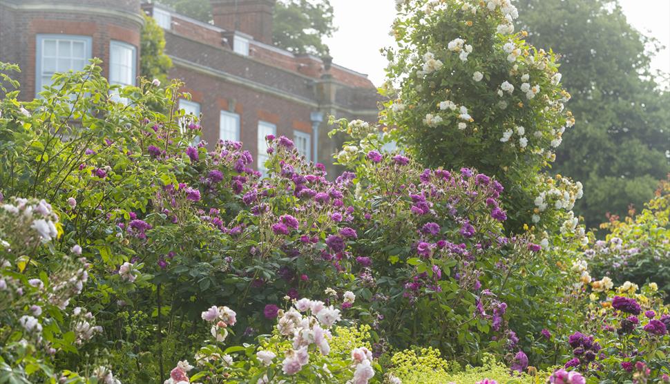 ‘The Wind in the Willows’ with Quantum Theatre at Hinton Ampner House and Garden