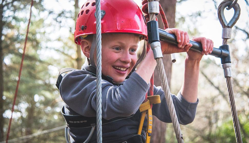 Holiday Adventure Day with New Forest Activities