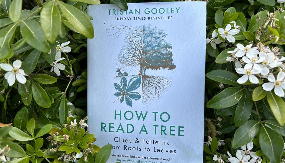 Onsite/Online Talk with Tristan Gooley: How to Read a Tree at Gilbert White's House & Gardens