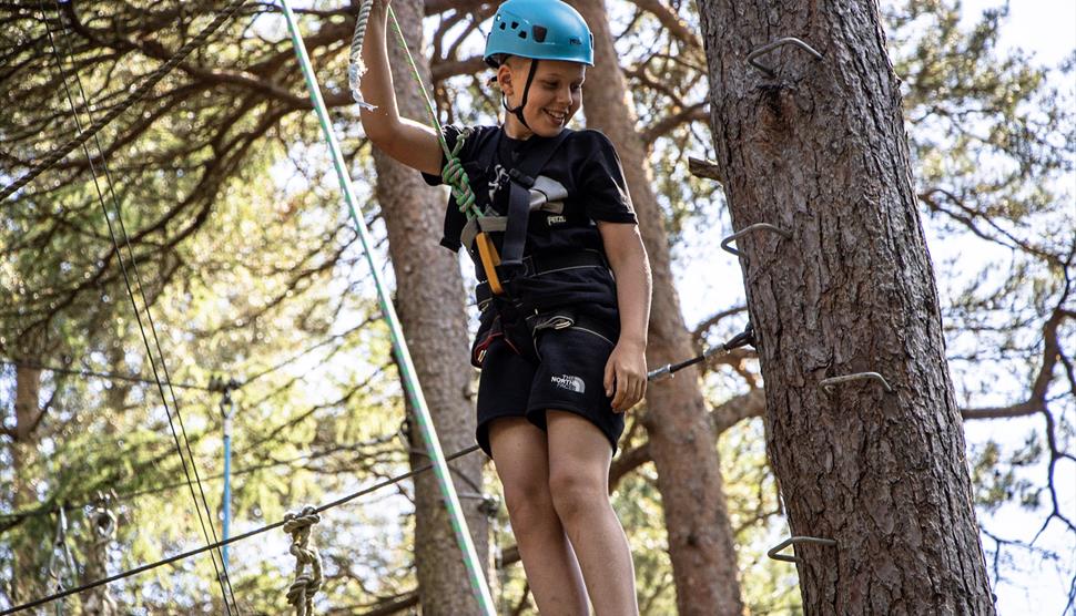 Woodland Adventure Day with New Forest Activities