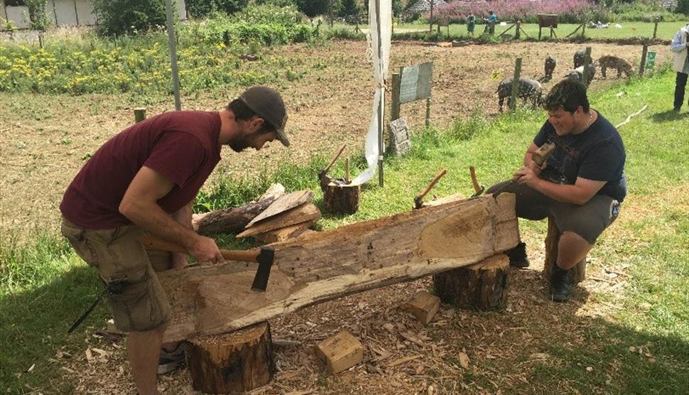 Free Talk: Prehistoric Boats