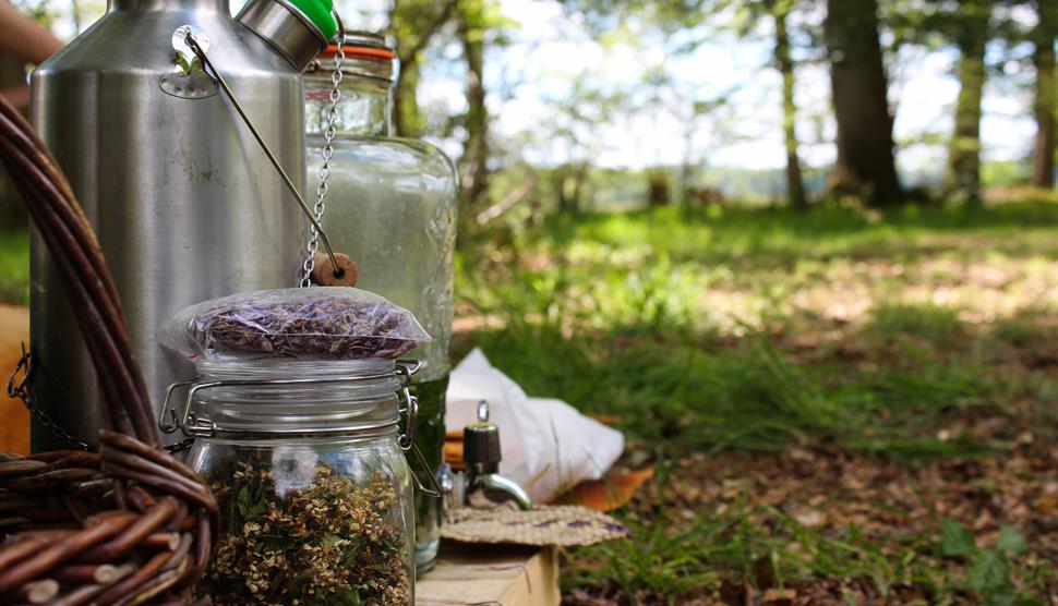 Guided Foraging Tour at Ewhurst Park