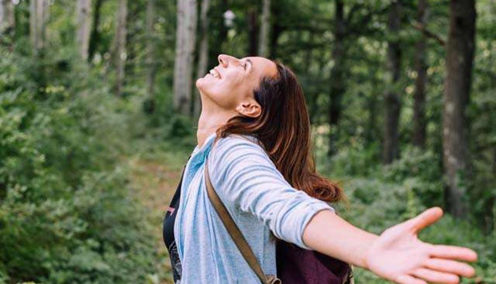 Forest Bathing at Sir Harold Hillier Gardens