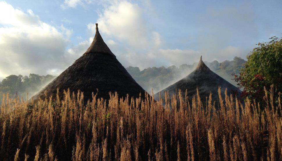 The roofs of Butser's roundhouses on a spring day.