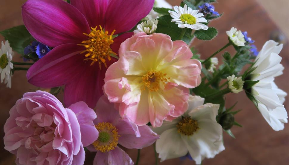 Privett Church Flower Festival