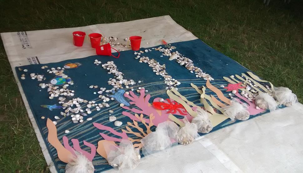 Marine Wonders at Lepe Country Park