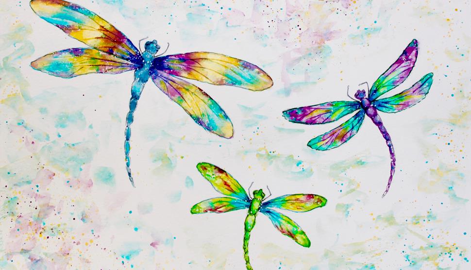 Dazzling Dragonflies: Watercolour Workshop at Gilbert White's House & Gardens