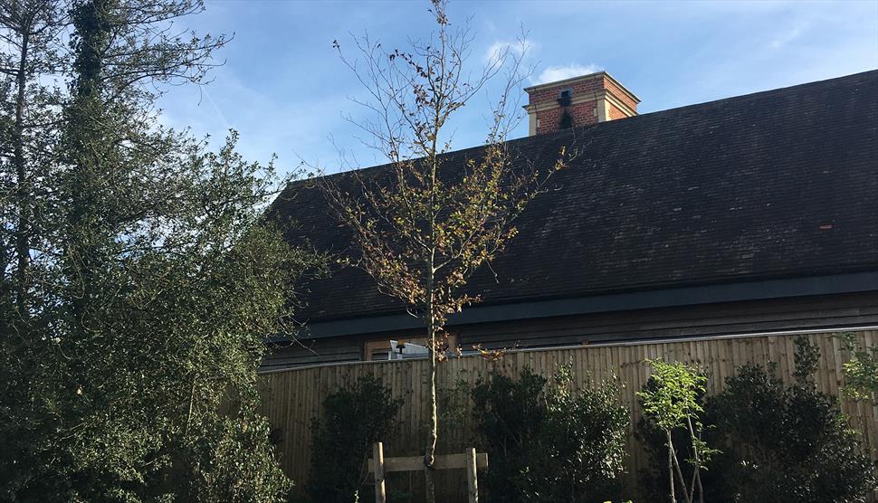 Tour: Heckfield Place's Biomass Energy Centre