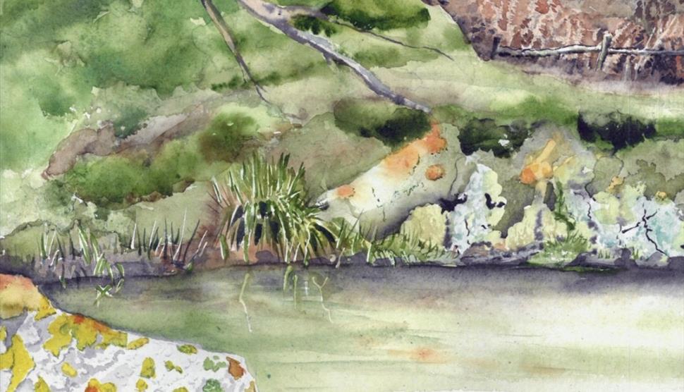 Introduction to Watercolour at Sir Harold Hillier Gardens