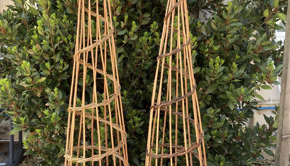 Wigwam Plant Support at Sir Harold Hillier Garden